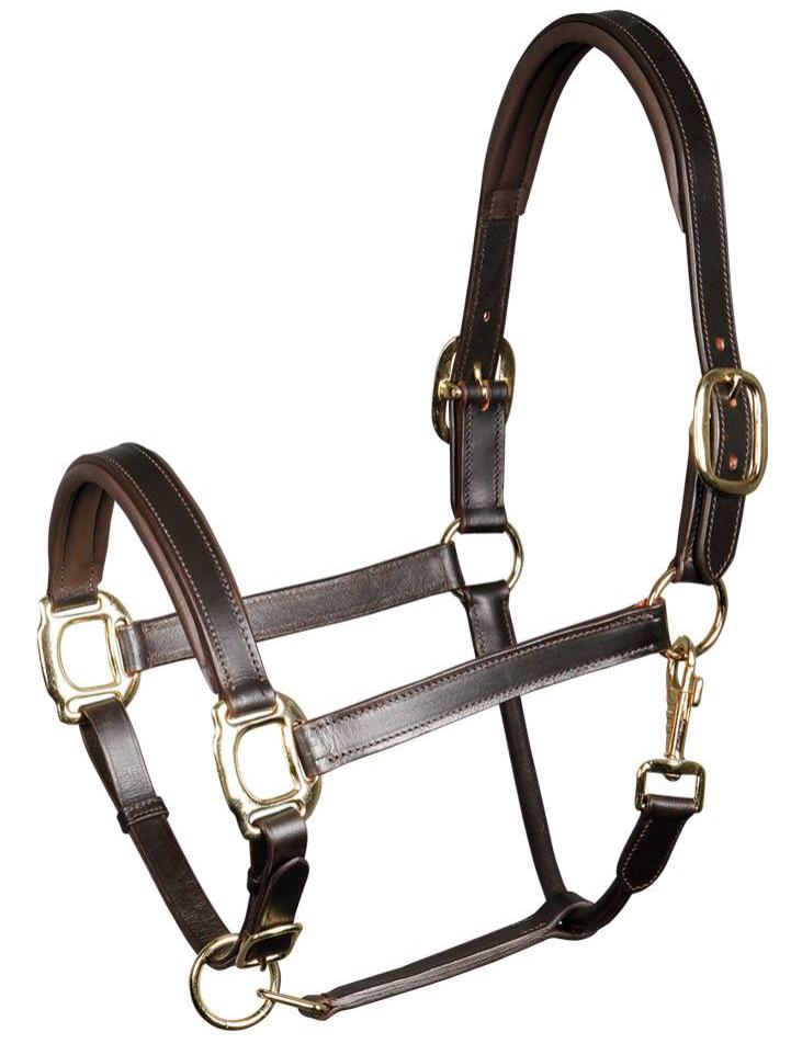 Lederhalfter braun 