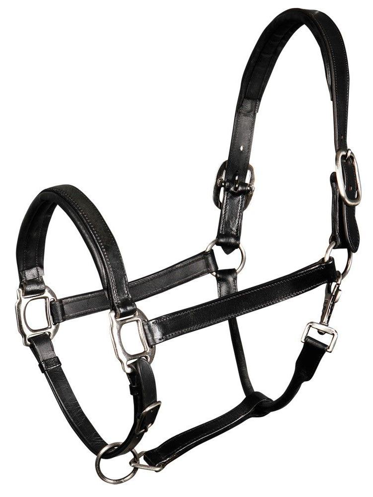 Lederhalfter schwarz