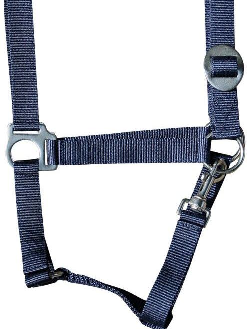 Nylonhalfter blau