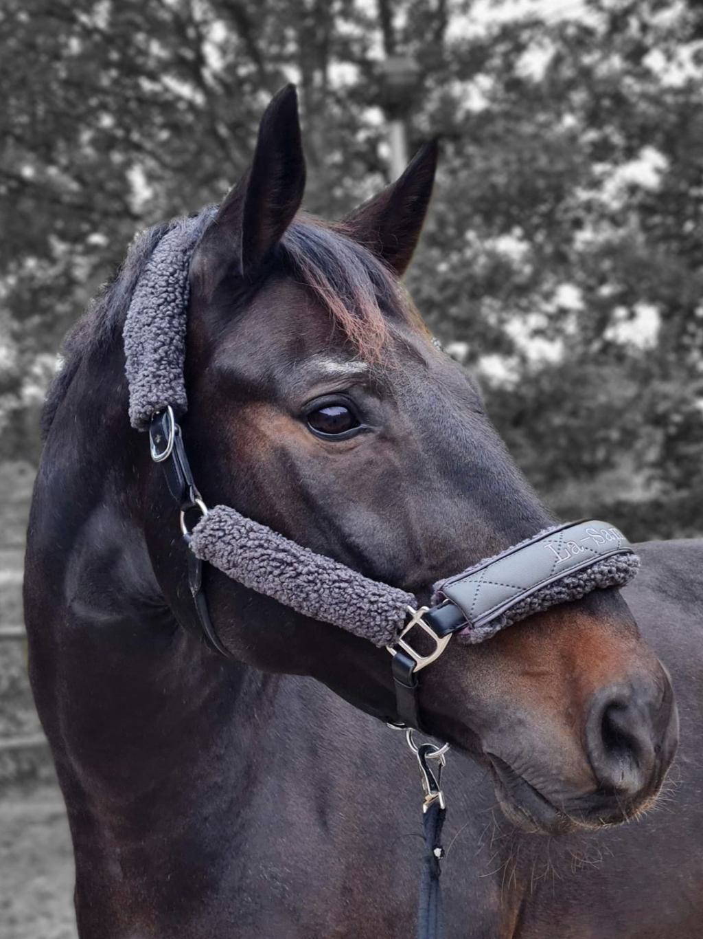 Lammfell-für-Halfter