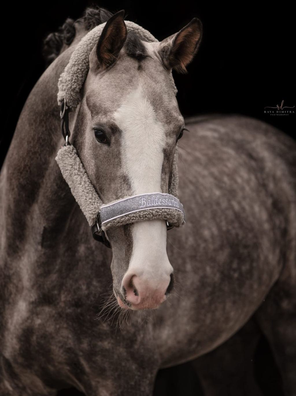 Lammfell-für-Halfter