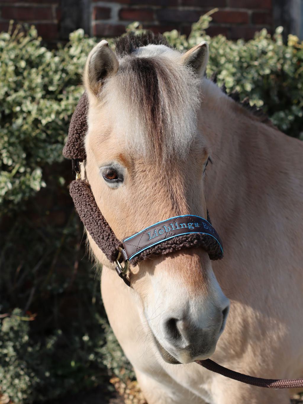 L.-I. Uni kunstleder